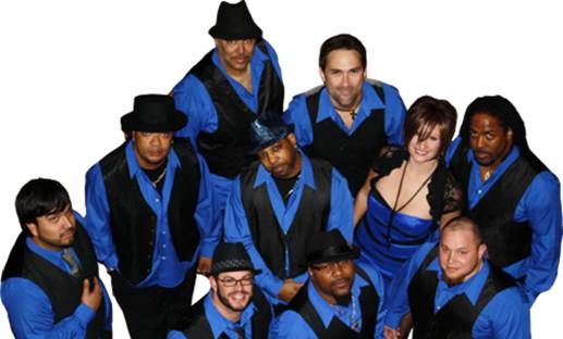 Professor D : Corporate Event Band