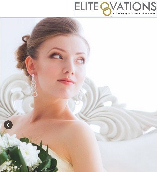 Elite Ovations : wedding DJ
